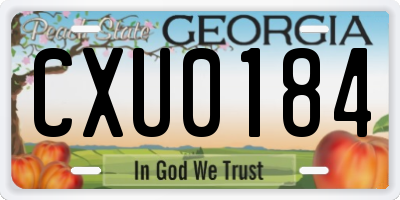 GA license plate CXU0184