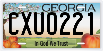 GA license plate CXU0221