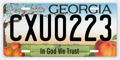 GA license plate CXU0223