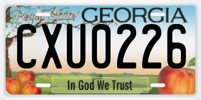 GA license plate CXU0226