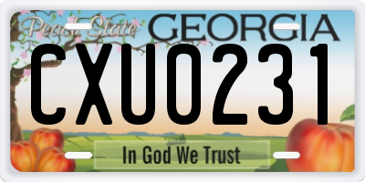 GA license plate CXU0231
