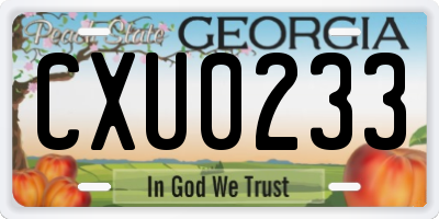 GA license plate CXU0233