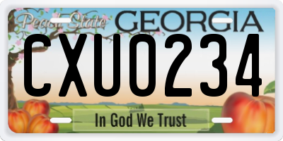 GA license plate CXU0234