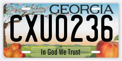 GA license plate CXU0236