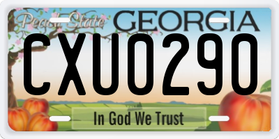 GA license plate CXU0290