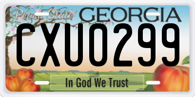 GA license plate CXU0299