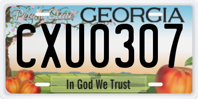 GA license plate CXU0307