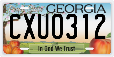 GA license plate CXU0312