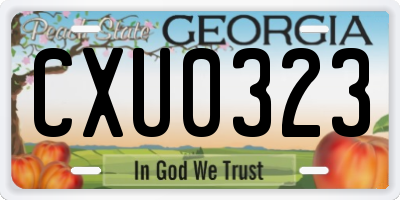 GA license plate CXU0323