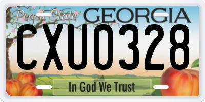 GA license plate CXU0328