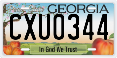 GA license plate CXU0344