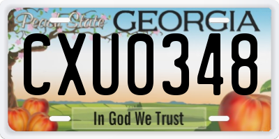 GA license plate CXU0348
