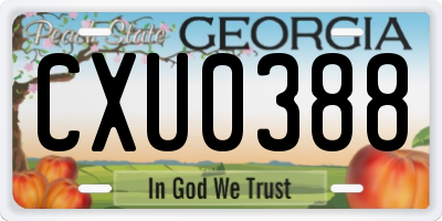 GA license plate CXU0388