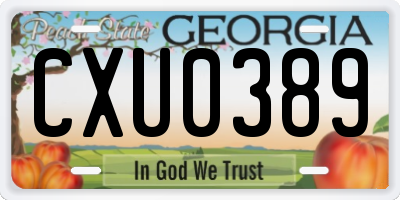GA license plate CXU0389