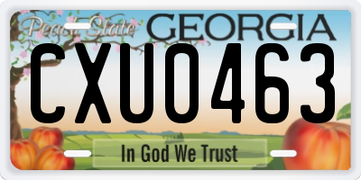 GA license plate CXU0463