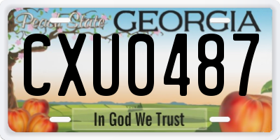GA license plate CXU0487