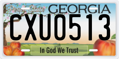 GA license plate CXU0513