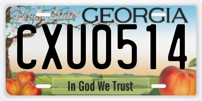 GA license plate CXU0514