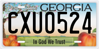 GA license plate CXU0524
