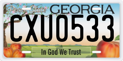 GA license plate CXU0533
