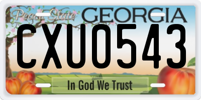 GA license plate CXU0543