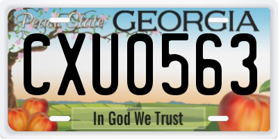 GA license plate CXU0563
