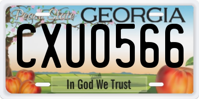 GA license plate CXU0566