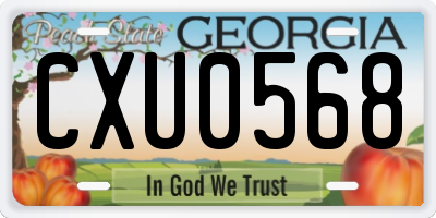 GA license plate CXU0568