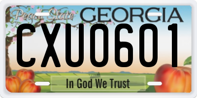 GA license plate CXU0601