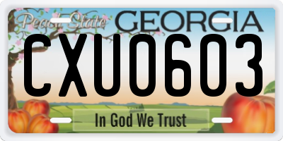 GA license plate CXU0603
