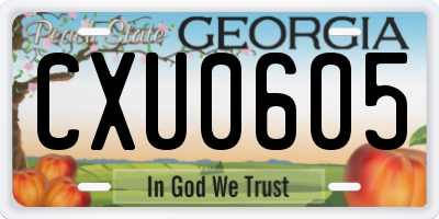 GA license plate CXU0605
