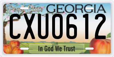 GA license plate CXU0612