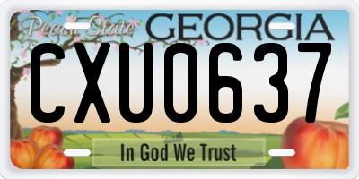 GA license plate CXU0637