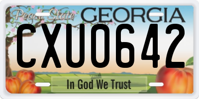 GA license plate CXU0642