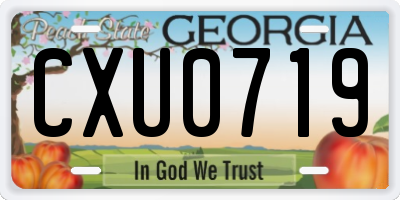 GA license plate CXU0719