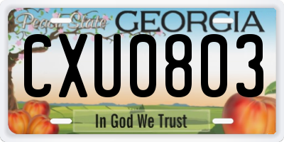 GA license plate CXU0803