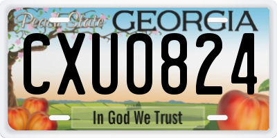GA license plate CXU0824