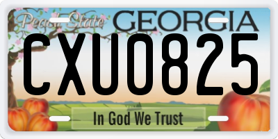 GA license plate CXU0825