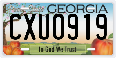 GA license plate CXU0919