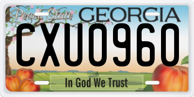 GA license plate CXU0960