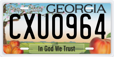 GA license plate CXU0964
