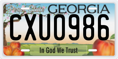 GA license plate CXU0986