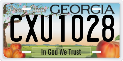 GA license plate CXU1028
