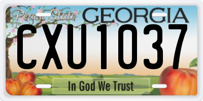 GA license plate CXU1037