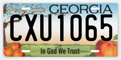 GA license plate CXU1065