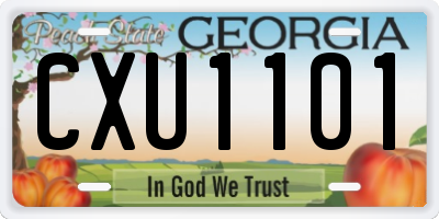 GA license plate CXU1101