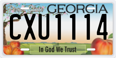 GA license plate CXU1114