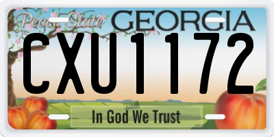 GA license plate CXU1172