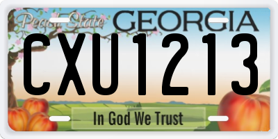 GA license plate CXU1213