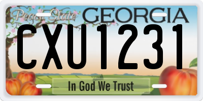 GA license plate CXU1231